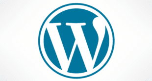 Sortie de WordPress version 6.0